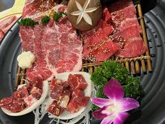 -猫爪爪原切自助烤肉(观音桥阳光世纪店)
