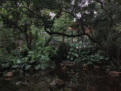 -广州兰圃