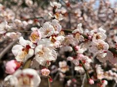 -白塘生态植物园