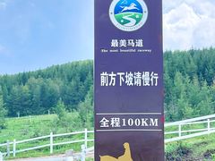 -丰宁坝上草原