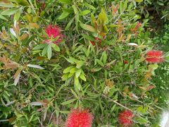 -北海金海湾红树林生态旅游区