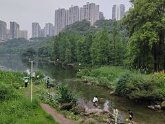 -重庆彩云湖湿地公园