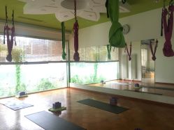 -一花一叶瑜伽生活馆