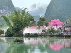 -靖西鹅泉风景区