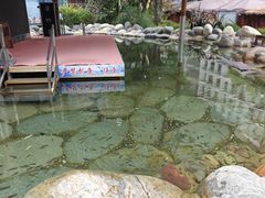 -地中海传奇水汇