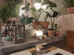 -PlantsEatery·植物食堂(REX春熙店)