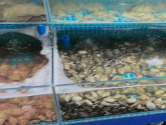-仙螺岛海鲜自助餐厅(总店)