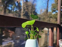 -野蔓果·山野菜(西湖景区·龙井茶田店)