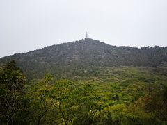 -府君山公园