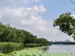 -长春市南湖公园