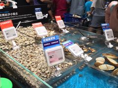 水产区-盒马鲜生(曜一城店)