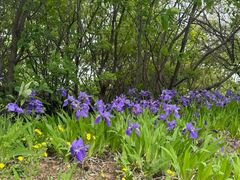 -潭柘厚院(桑峪村店)