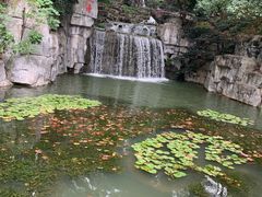 -食膳公园包子铺(烈士公园店)