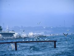 -老虎石海上公园