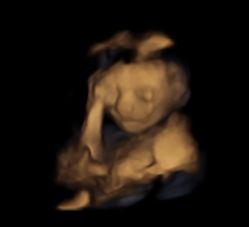 -北京俪婴妇产医院(朝阳大悦城店)