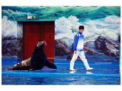 -多彩贵州城极地海洋世界