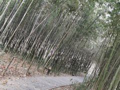 -河南省黄河迎宾馆