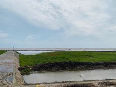 -南汇嘴观海公园