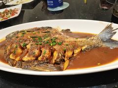 红烧大鳊鱼-华庭苑农家乐(旺山店)