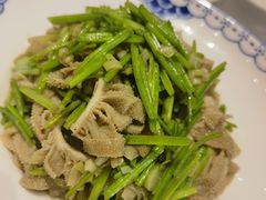 -紫光园·烤鸭·北京菜(团结湖店)