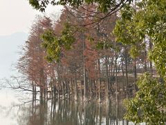 -四明湖
