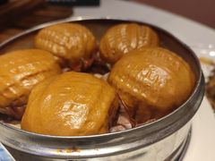 -新概念来凤鱼(璧山店)