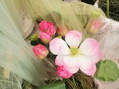 -山与蓝·轻糖鲜果蛋糕(勒泰店)