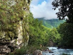 -黄山翡翠谷景区