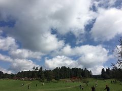 -醉小酒馆·川菜·江湖菜·重庆菜(观音桥旗舰店)