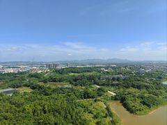 -美的鹭湖探索王国