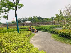 -季高兔窝窝亲子园(上海薰衣草公园店)