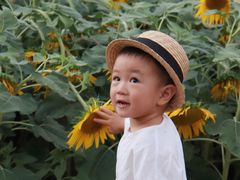 -五通灯塔公园