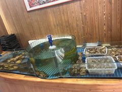 -喜福楼(黑山大街店)