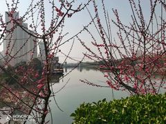 -西安汉城湖景区