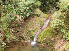 -牛背梁国家森林公园