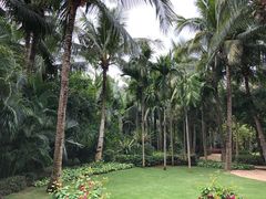 -三亚湾海居铂尔曼度假酒店