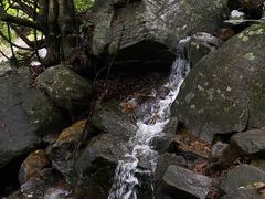 -梧桐山风景名胜区