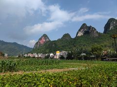 -长寿村