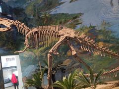 -自贡恐龙博物馆