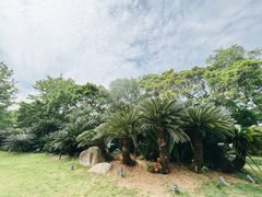 -江心屿景区