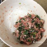 我也是打发打发时光 准备好剁好的肉 和小葱搅拌在一起