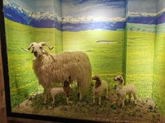 -清真·益鑫羊肉手抓馆(花园北街店)