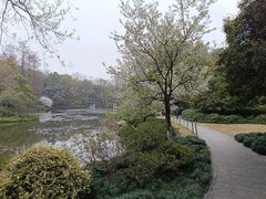 -杭州植物园