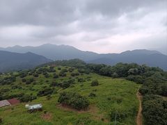 -广州市石门国家森林公园
