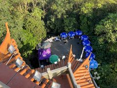 -水濂山森林公园