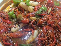 -京悦南门涮羊肉·羊蝎子火锅(田林路店)