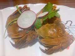 -呼吸森林·生态农庄农家乐私房菜