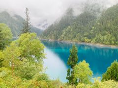 -九寨沟-树正沟