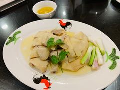 -红星光发煲仔饭(文海店)