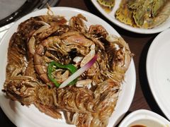 -嘉定宝龙广场
